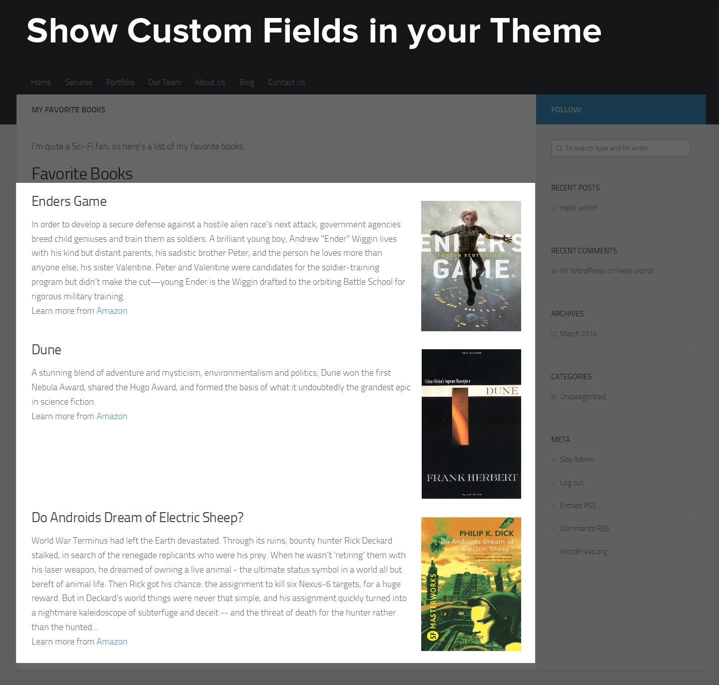 Show Custom Fields in your Theme