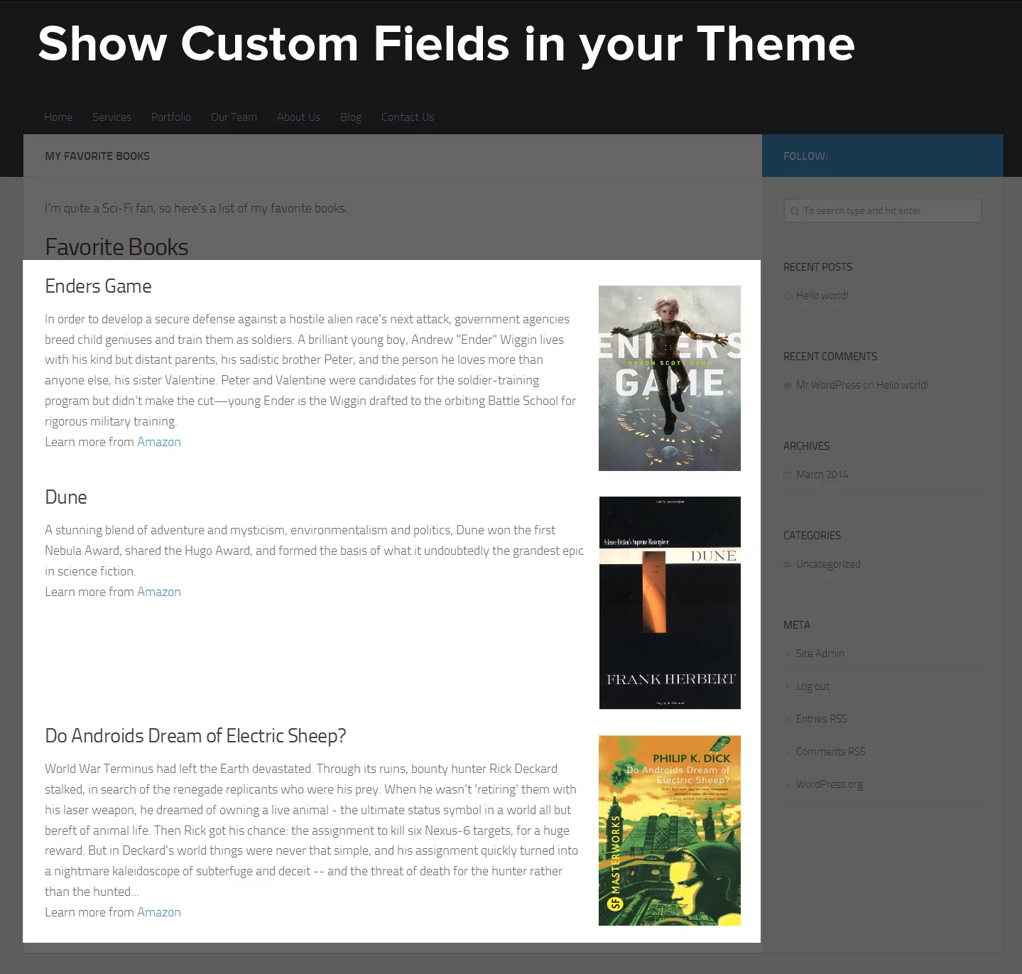 Show Custom Fields in your Theme