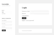 Profile Builder - MailChimp - Widget in Frontend