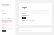 Profile Builder - MailChimp - Widget in Frontend - Error