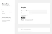 Profile Builder - MailChimp - Widget in Frontend - Success