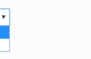 Profile Builder Pro - BuddyPress - Field Visibility Options - BuddyPress Allow Custom Visibility