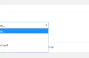 Paid Member Subscriptions Pro - Global Content Restriction - Meta Box