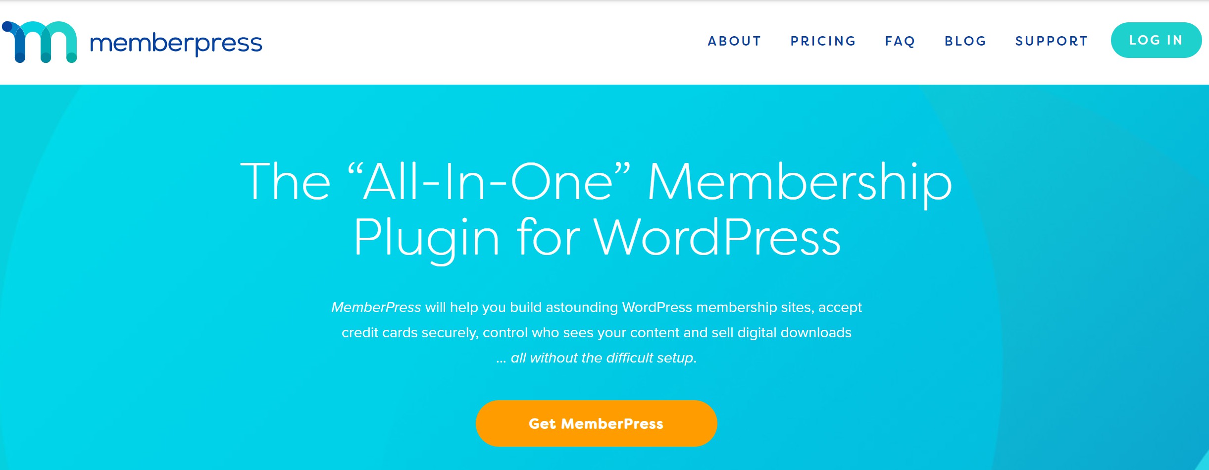 Best word press option