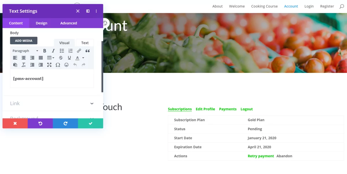 Text module in Divi Builder
