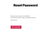 WordPress Subscriptions Plugin Password Reset