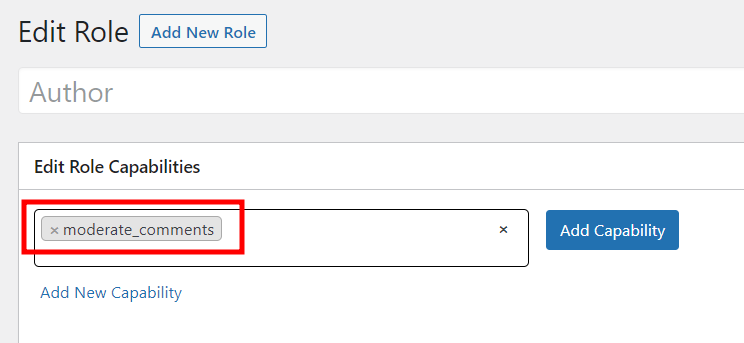 Adding new WordPress user role capabilities