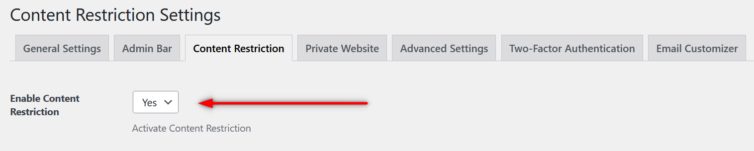 Enabling content restriction functionality