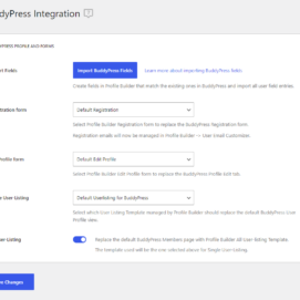 BuddyPress addon settings