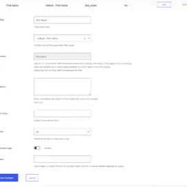 The field setting related to the custom CSS classes functionality