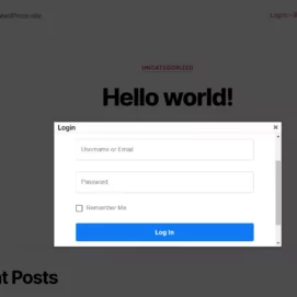 Front end iFrame Login form created with the Custom Profile Menus addon