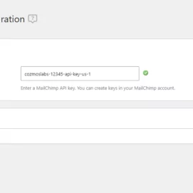 Adding the MailChimp API Key to Profile Builder