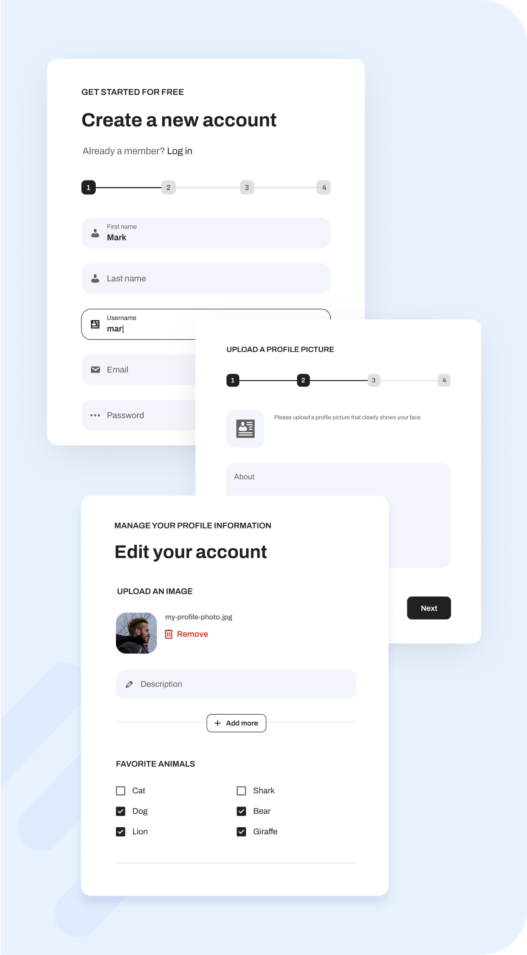 Profile Builder plugin interface