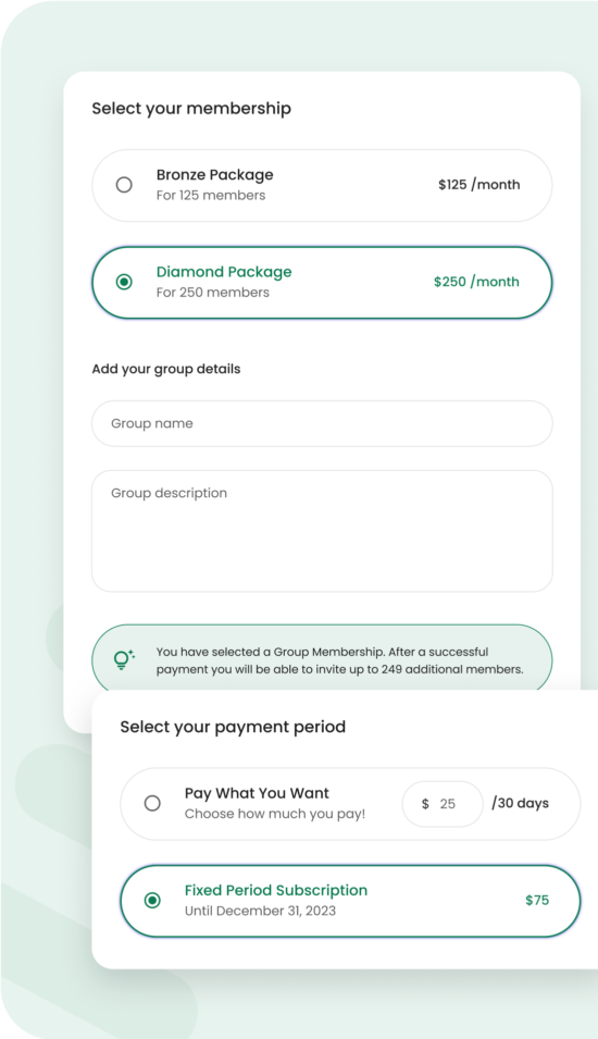 Paid Member Subscriptions plugin interface