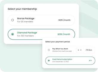 Paid Member Subscriptions plugin interface
