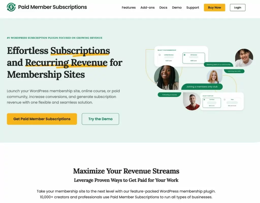 Paid Member Subscriptions: a solution for adding multiple payment gateways to WooCommerce