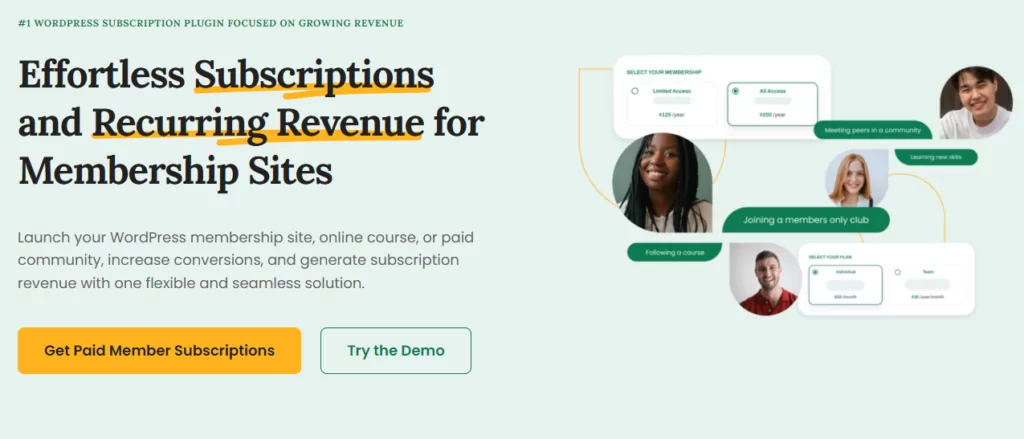 Paid Member Subscriptions is a membership website platform