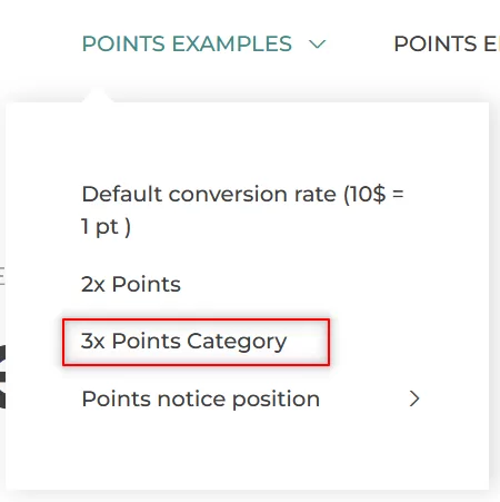 Category-based point conversion