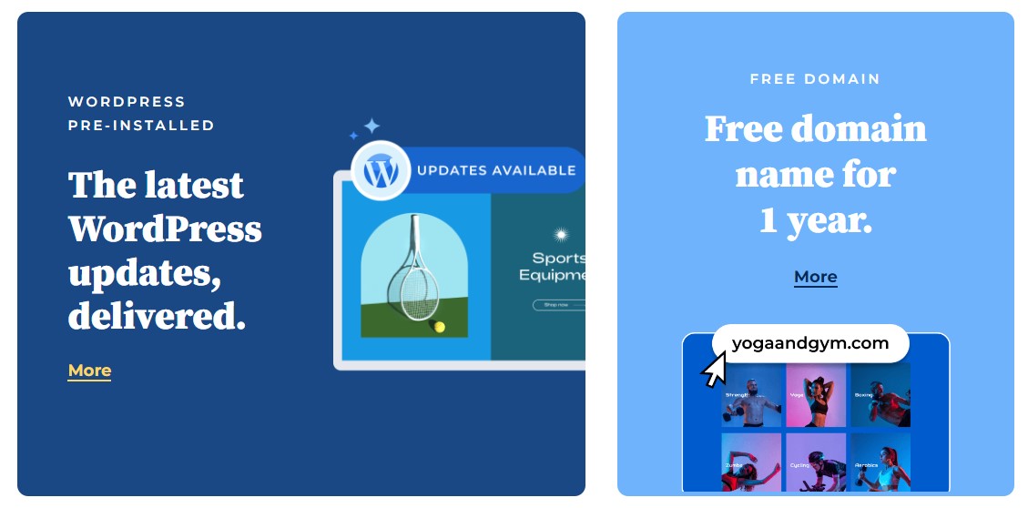 Bluehost 