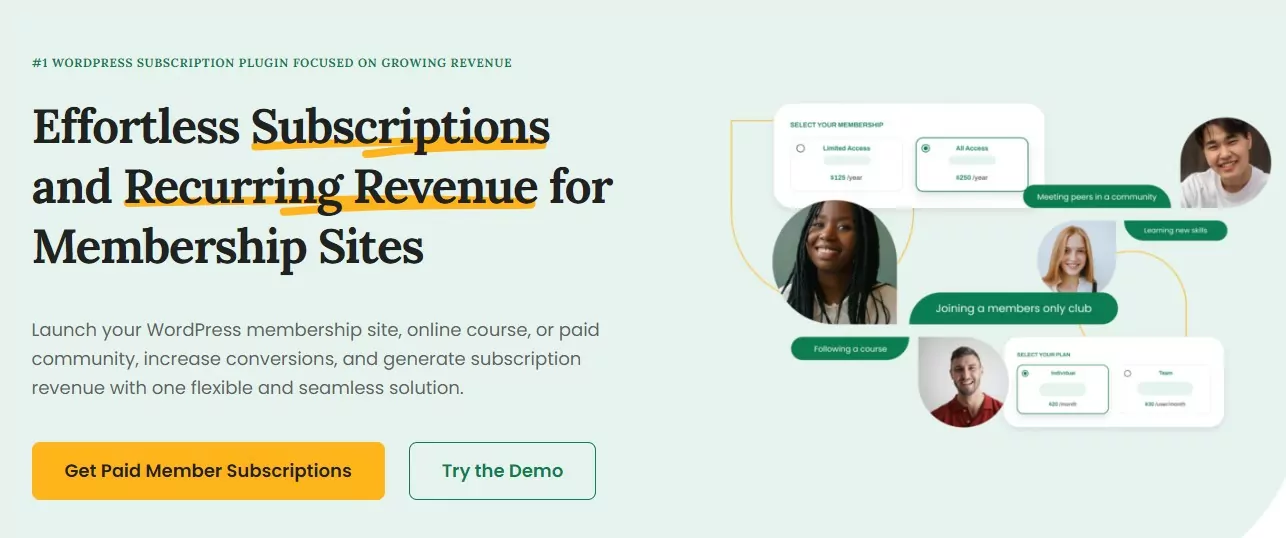Paid Members Subscriptions